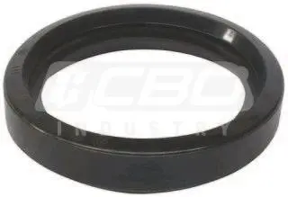 C-GASKET SK-Ø 5.5'' NBR 80