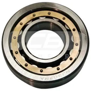 SABİT BİLYALI RULMAN DIN625 6309 C3